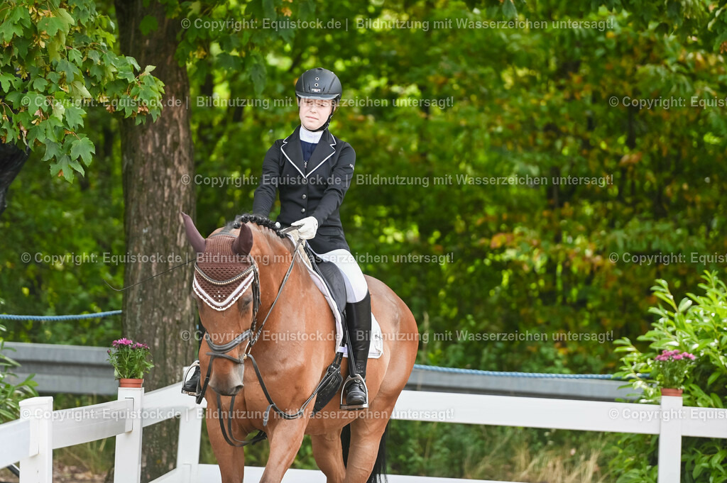 20230716_10-1_Reiter-WB Schritt - Trab - Galopp_0025 | equistock