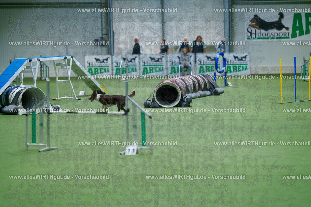@allesWIRTHgut_Tierfotografie - www.allesWIRTHgut.de - 2604250837-7R507220 | Professionelle Tierfotografie in Mönchengladbach von Daniel Wirth (allesWIRTHgut). Liebevolle & natürliche Bilder von Hunden & Katzen für unvergessliche Erinnerungen.