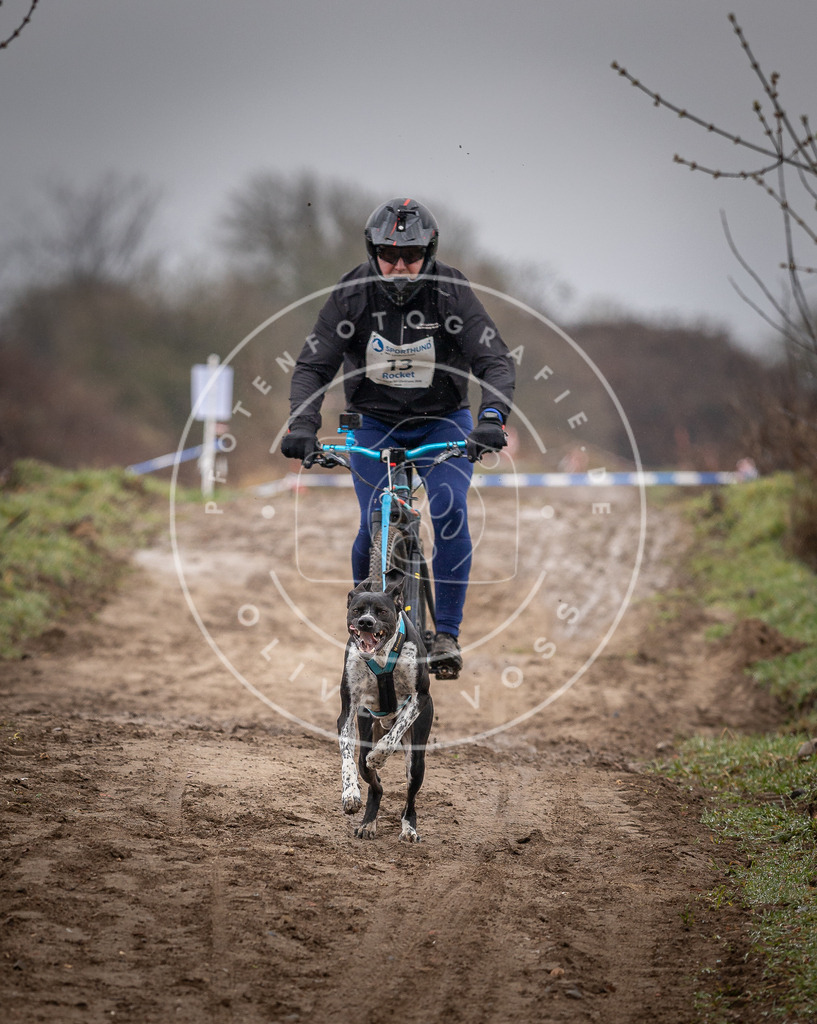 DV3A8934 | Hundefotografie, Tierfotograf, Pfotenfotografie, Fotoshooting Hund, Hunde Portrait, Hundesport, Hundeportraits, Heideshooting, Hunde, Sportfotograf, Hundefotograf, Turnierhundsport, THS,  - Realisiert mit Pictrs.com