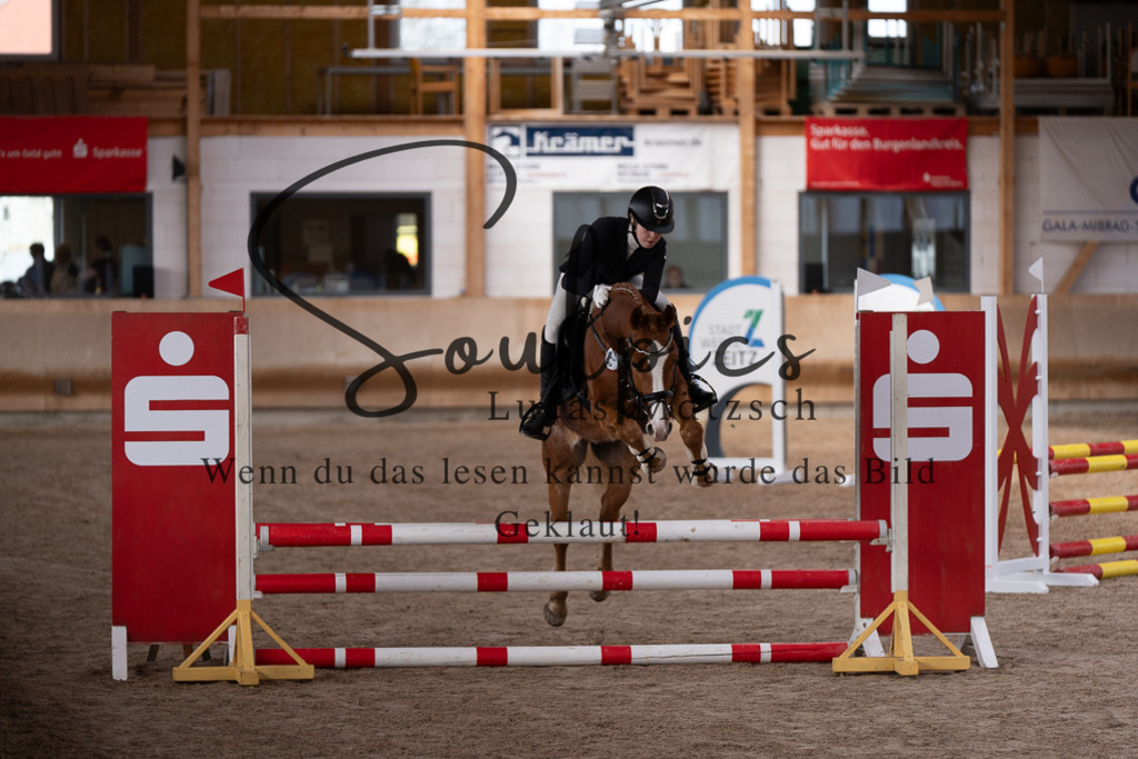 A7507382 | Pferdefotograf