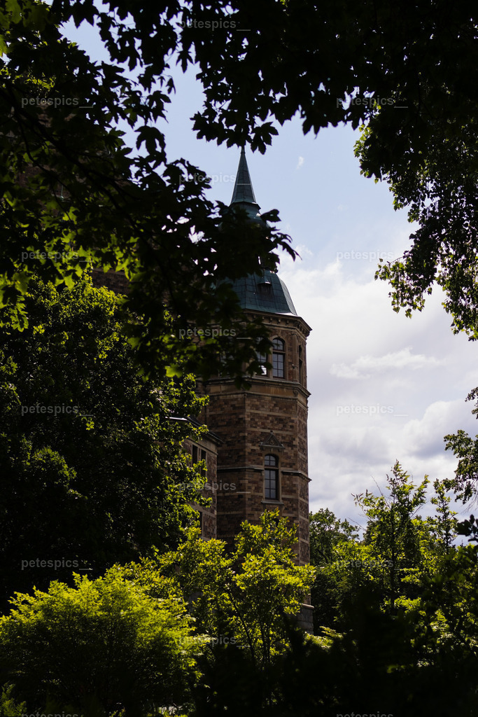 _76A3097 | petespics