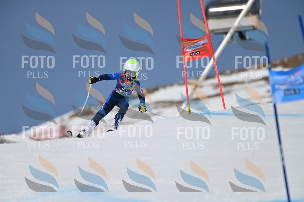 BGV_6487 | holidayphoto