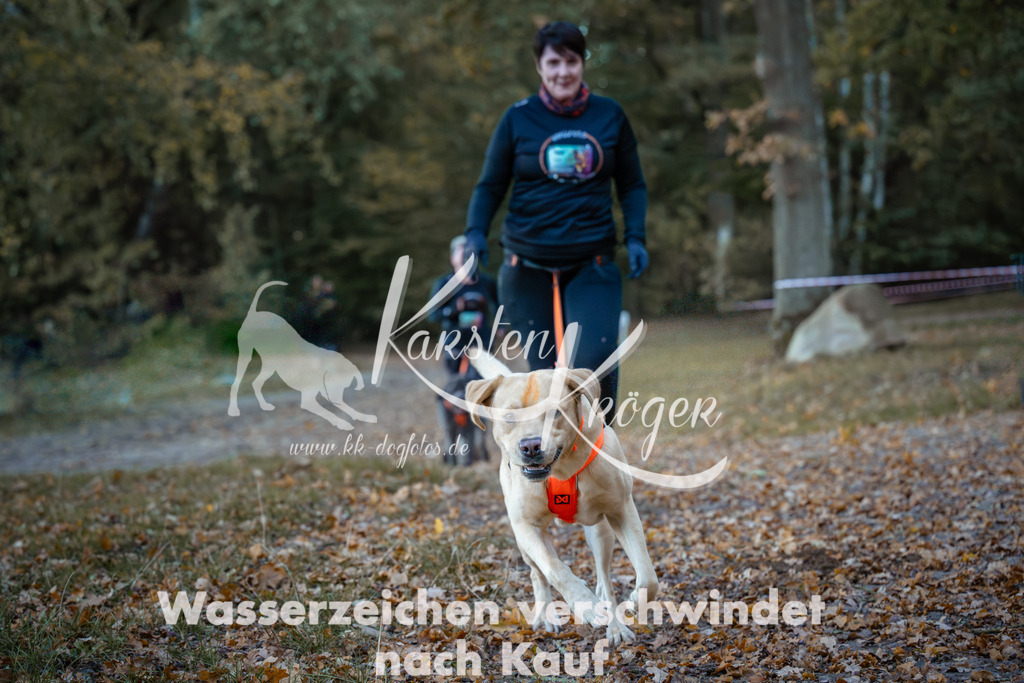 0847_ZZ95950 | kk-dogfotos