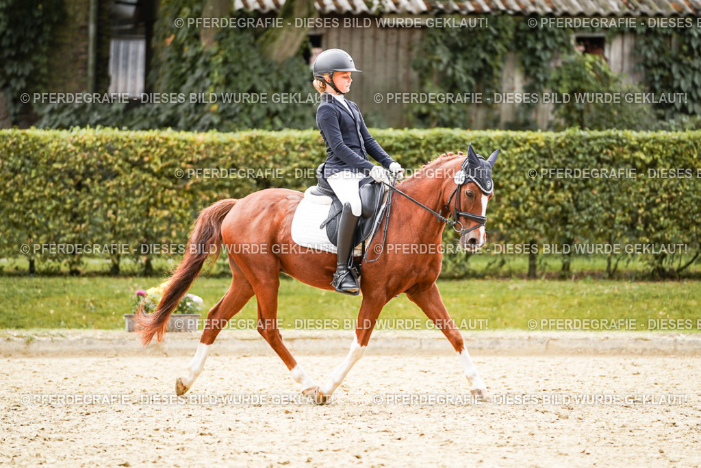 DSC00550 | Pferdegrafie