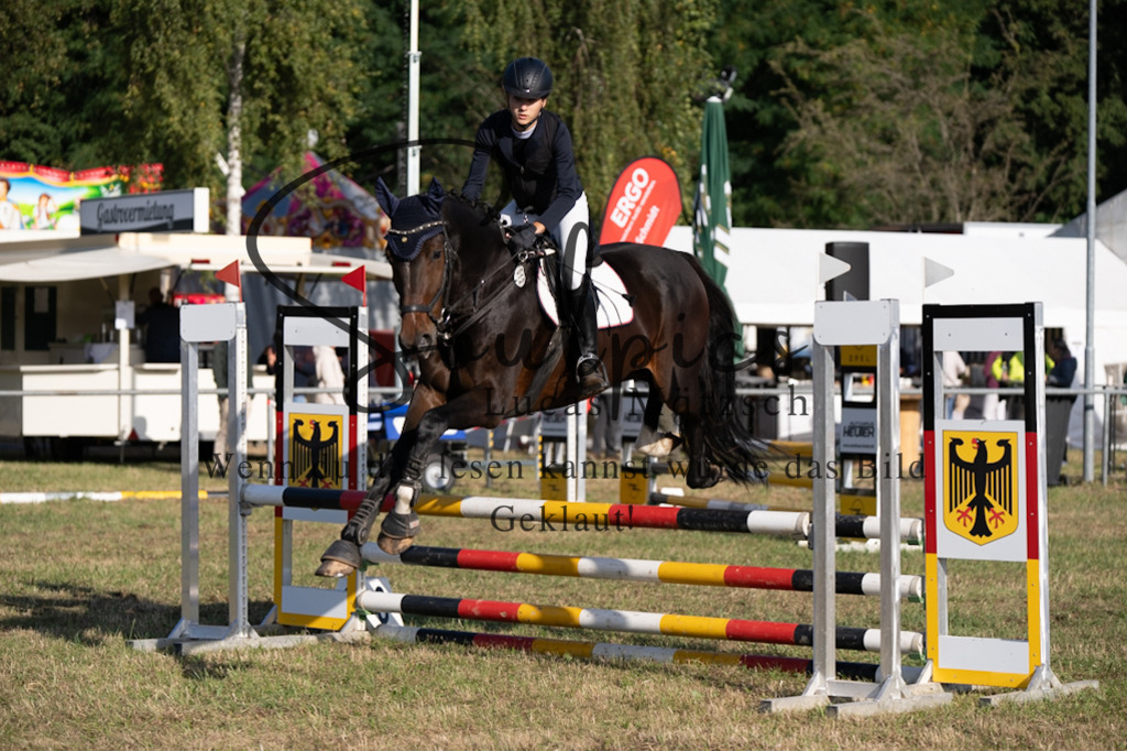 A7V08145 | Pferdefotograf