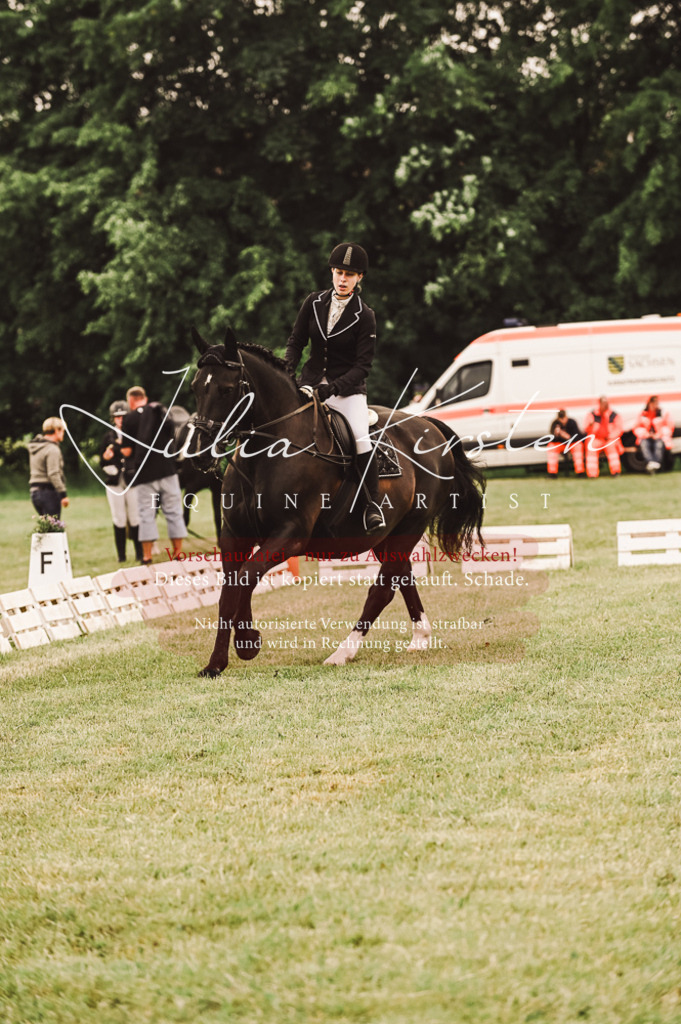 DSC_4991 | Pferde- und Turnierfotografie in Westsachsen. Pferdeportraits, Auftragszeichnungen und intuitive Kunst.