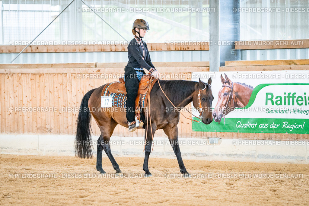 DSC02648 | Pferdegrafie