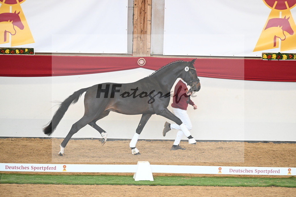 Kat.-Nr. 75 v. Santos_Greim_2250833 | hf-fotografie - Realisiert mit Pictrs.com