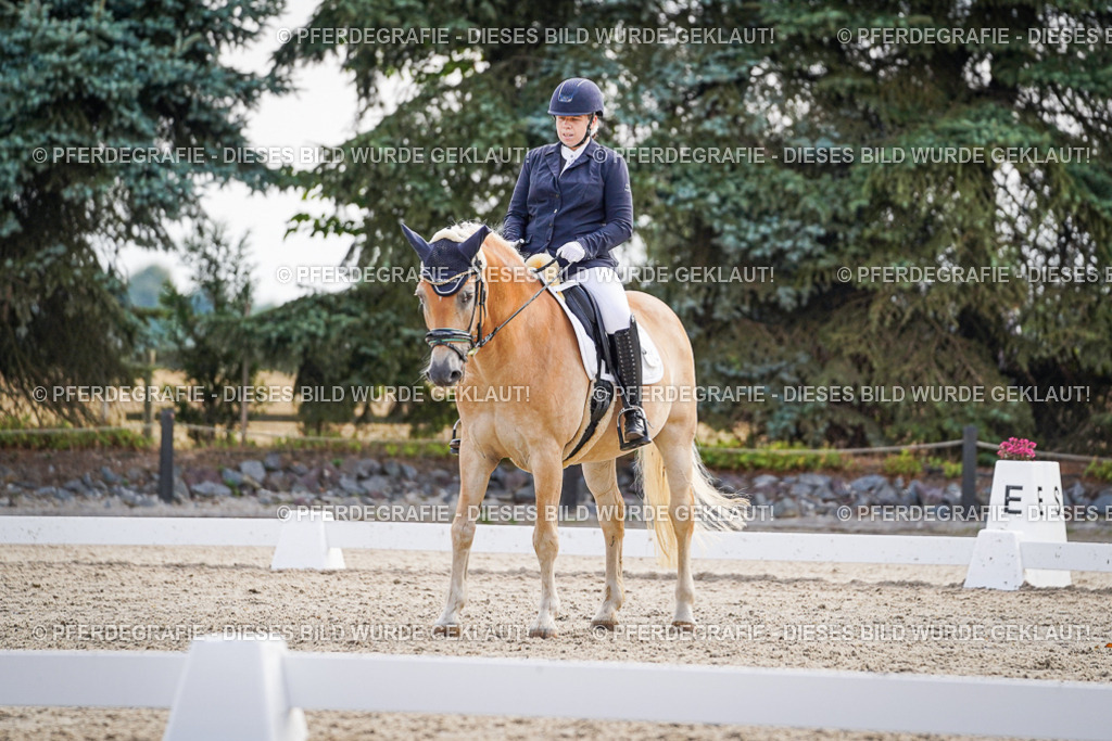 DSC00664 | Pferdegrafie