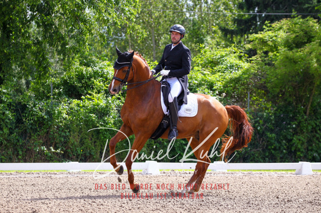 DKP41299 | Turnierfotos kaufen im Webshop von Daniel Kuhl Photography – entdecke professionelle Reitsportfotos aus Turnieren & Events. Hochwertige Turnierbilder online bestellen & sichern. Jetzt Fotos von Reitsportturnieren kaufen!
