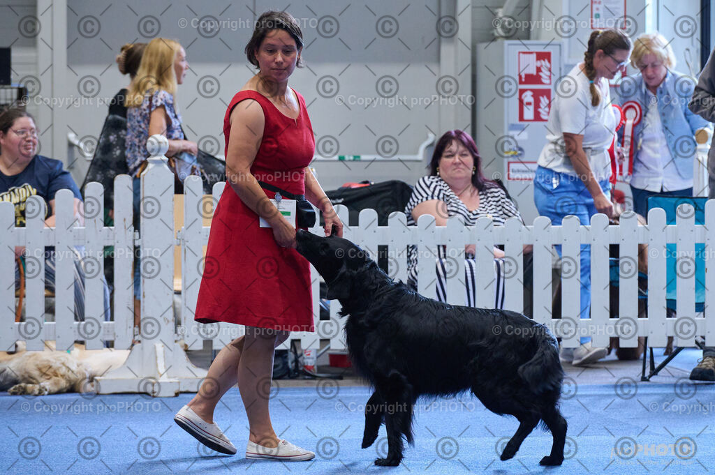 202406_ÖKV-IHA-Tulln24_DSC_5085 | proPHOTO - Realisiert mit Pictrs.com