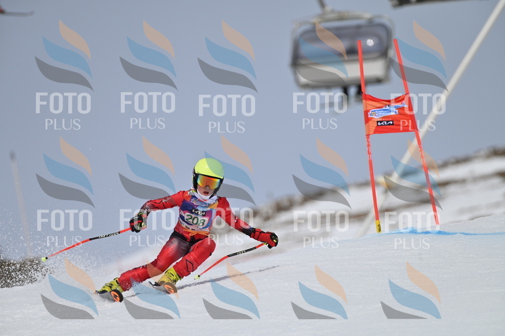 BGV_4010 | holidayphoto