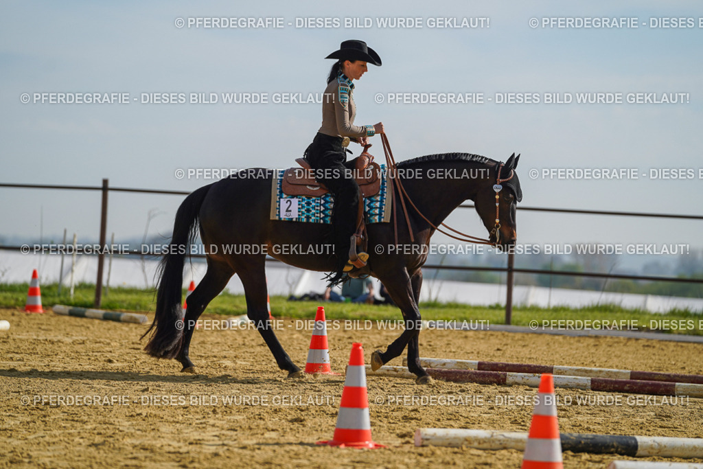 DSC01327 | Pferdegrafie