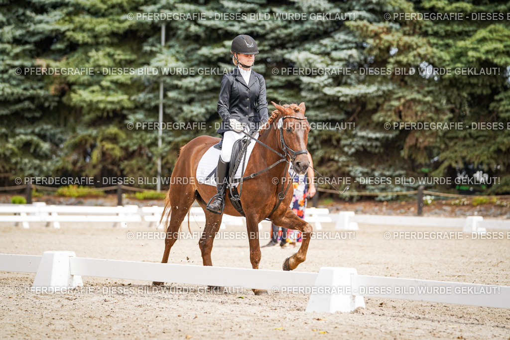 DSC02587 | Pferdegrafie