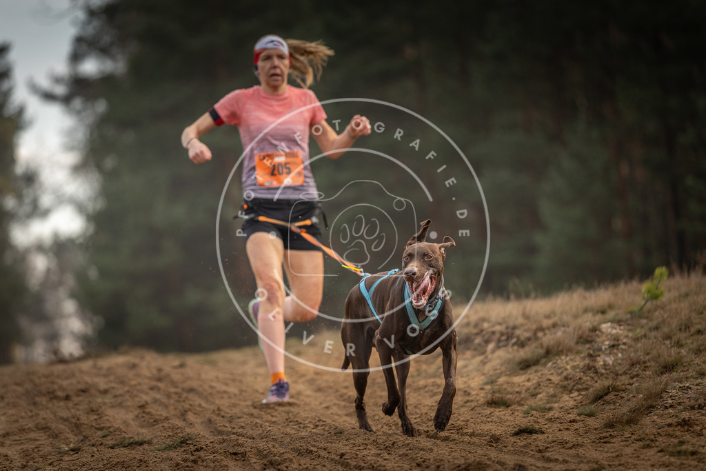 Pfotenfotografie_DV3A5071 | Hundefotografie, Tierfotograf, Pfotenfotografie, Fotoshooting Hund, Hunde Portrait, Hundesport, Hundeportraits, Heideshooting, Hunde, Sportfotograf, Hundefotograf, Turnierhundsport, THS,  - Realisiert mit Pictrs.com