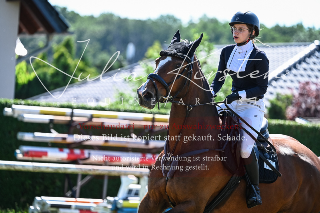 DSC_1533 | Pferde- und Turnierfotografie in Westsachsen. Pferdeportraits, Auftragszeichnungen und intuitive Kunst.