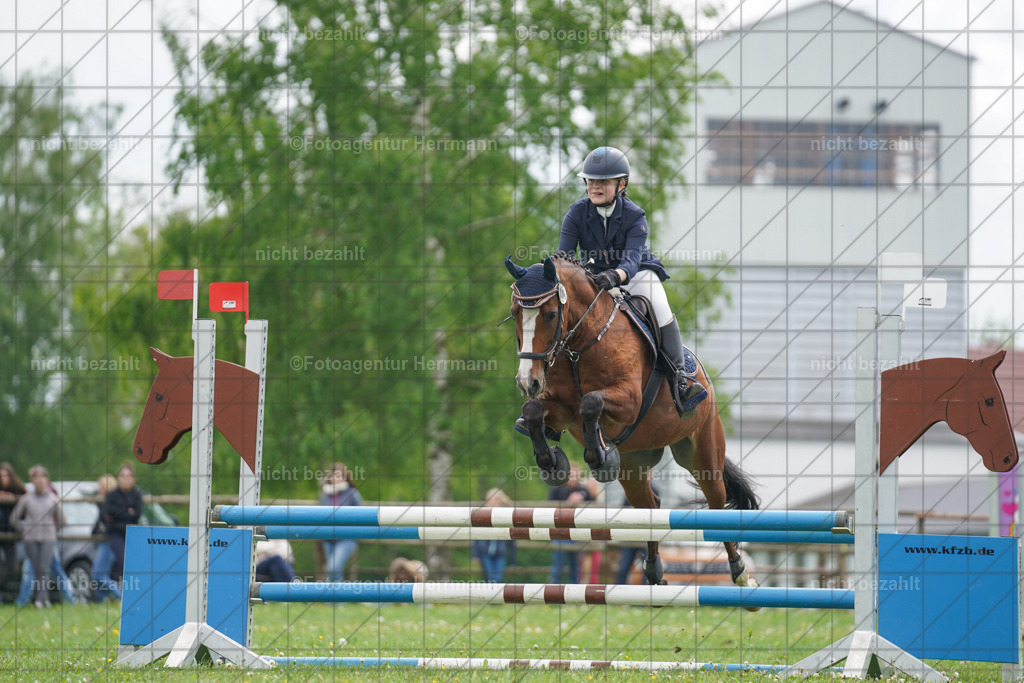 20240509-FAH02676 | Turnierbilder der Turnierfotografen Bayern, Pferdesport Fotografie, Reitsportbilder, Turnier Landberg am Lech, Turnierbilder bayern, Fotoagentur Herrmann