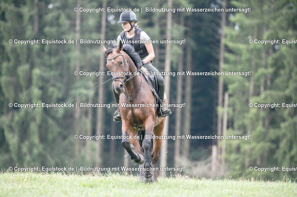 20250726_Vielseitigkeitslehrgang-Marbach_0658 | Foto: Thomas Hartig