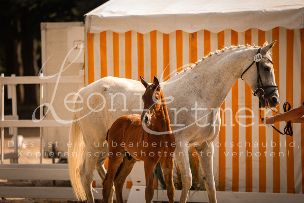09.DoWBD00094 | Leoni Ertmer Photography - Realisiert mit Pictrs.com