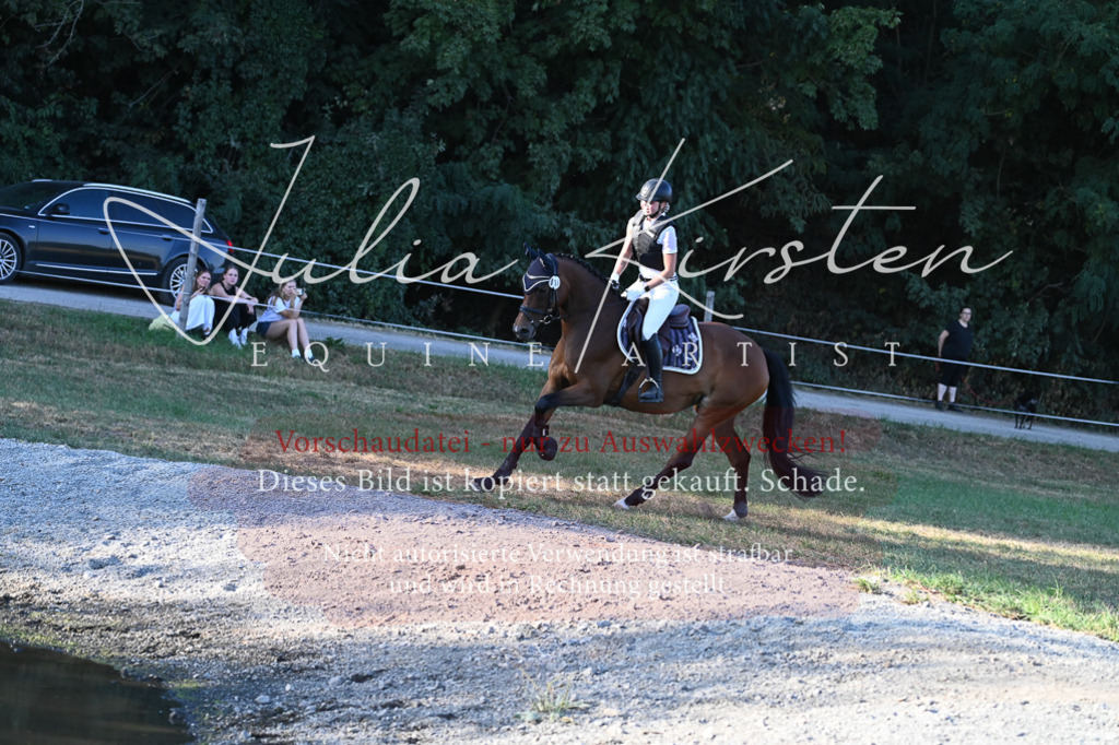 DSC_9168-2 | Pferde- und Turnierfotografie in Westsachsen. Pferdeportraits, Auftragszeichnungen und intuitive Kunst.