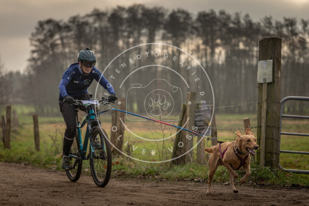 Pfotenfotografie_DV3A1981 | Hundefotografie, Tierfotograf, Pfotenfotografie, Fotoshooting Hund, Hunde Portrait, Hundesport, Hundeportraits, Heideshooting, Hunde, Sportfotograf, Hundefotograf, Turnierhundsport, THS,  - Realisiert mit Pictrs.com