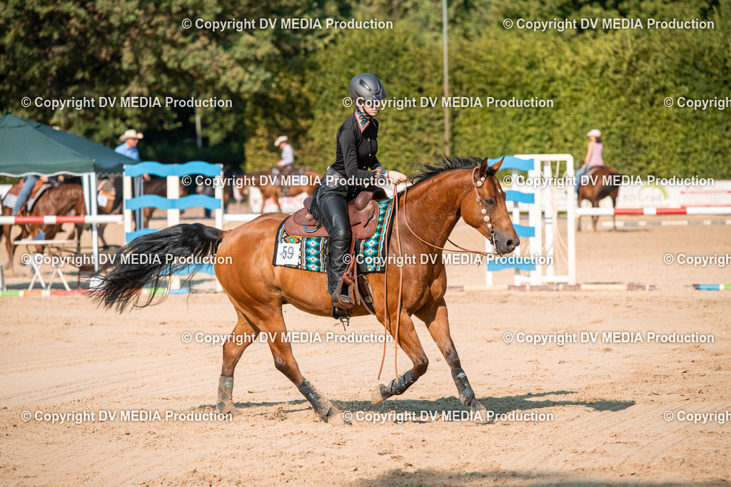 ZS2_8881 | dv-media-shop - Realisiert mit Pictrs.com