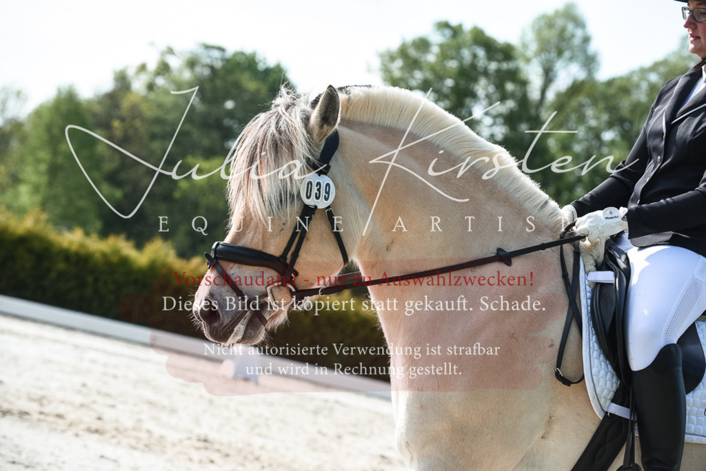 20230518_JK-Röhrsdorf-09-1078 | Pferde- und Turnierfotografie in Westsachsen. Pferdeportraits, Auftragszeichnungen und intuitive Kunst.