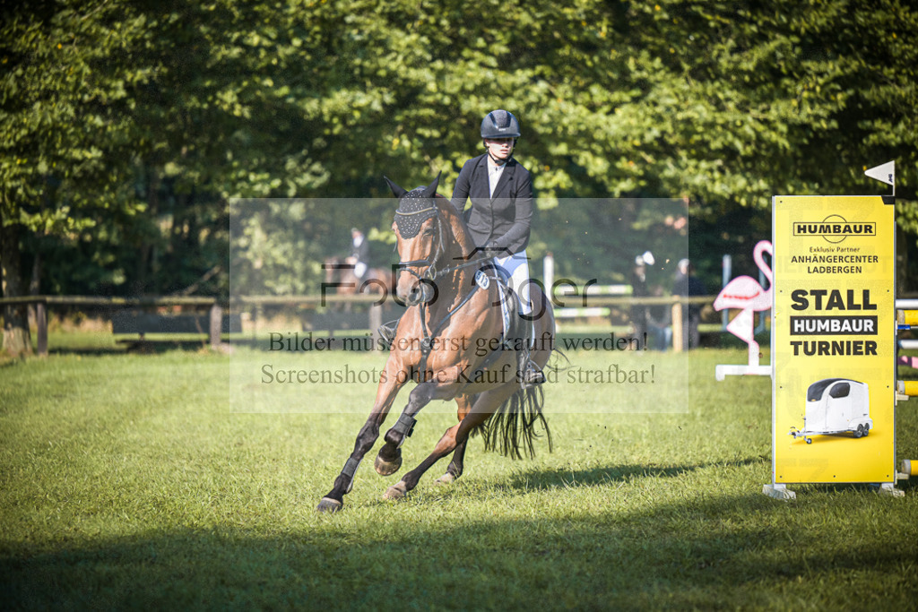 DOS_0368 | Entdecke hochwertige Reitturnierfotos von Foto Oger. Professionell, emotional und authentisch – jetzt Lieblingsmomente im Shop bestellen.Deutschlandweite Turnierfotografie. - Realisiert mit Pictrs.com