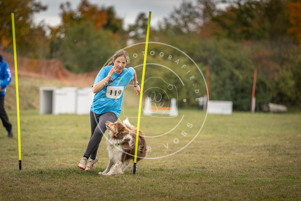 Pfotenfotografie_DV3A7602 | Hundefotografie, Tierfotograf, Pfotenfotografie, Fotoshooting Hund, Hunde Portrait, Hundesport, Hundeportraits, Heideshooting, Hunde, Sportfotograf, Hundefotograf, Turnierhundsport, THS,  - Realisiert mit Pictrs.com
