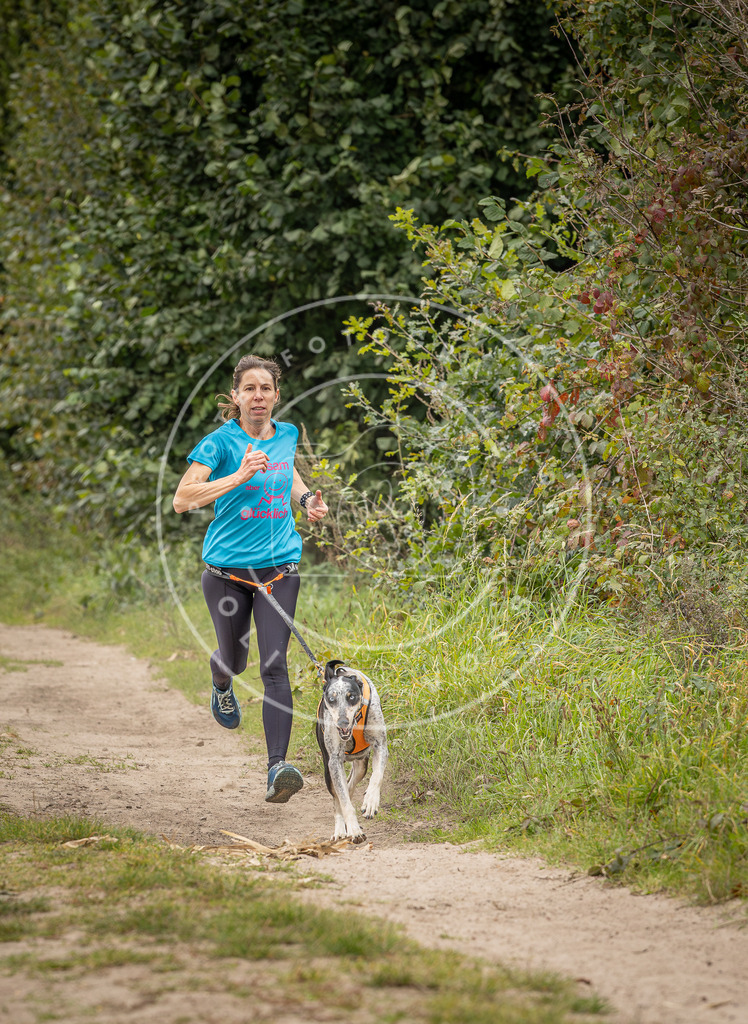 Pfotenfotografie_DV3A7828 | Hundefotografie, Tierfotograf, Pfotenfotografie, Fotoshooting Hund, Hunde Portrait, Hundesport, Hundeportraits, Heideshooting, Hunde, Sportfotograf, Hundefotograf, Turnierhundsport, THS,  - Realisiert mit Pictrs.com