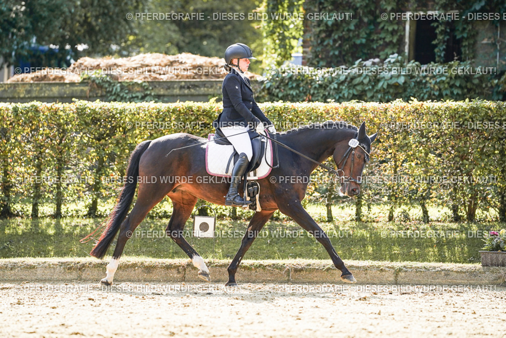 DSC07137 | Pferdegrafie