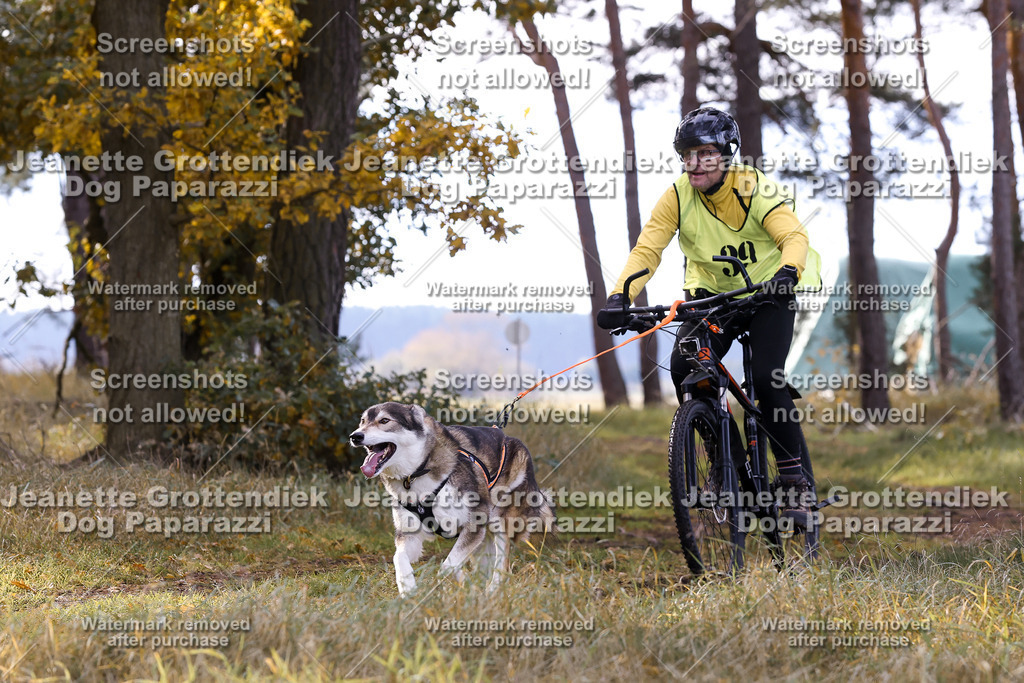 Dog Paparazzi - Elsholz 25 -150 | Dog Paparazzi Jeanette Grottendiek Fotografie & Videografie - Realisiert mit Pictrs.com