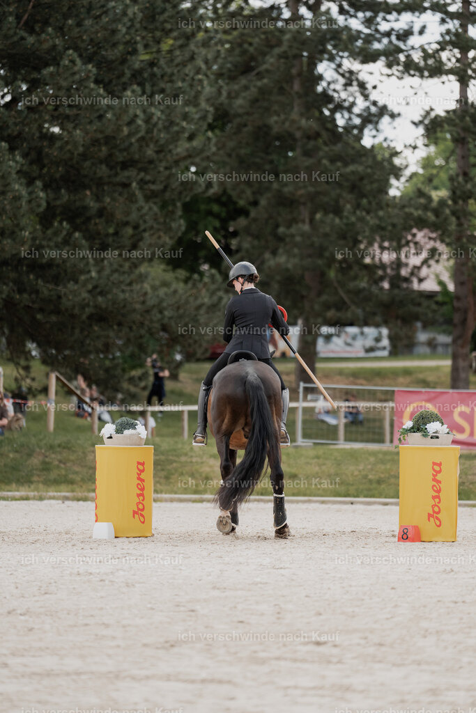 WE_ST_Stoib_309_PI2025_966 | Pferd International München 2025