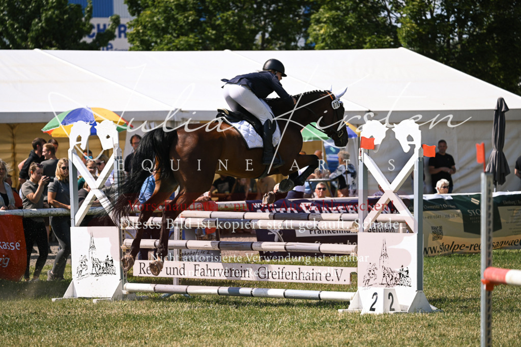 DSC_0467 | Pferde- und Turnierfotografie in Westsachsen. Pferdeportraits, Auftragszeichnungen und intuitive Kunst.