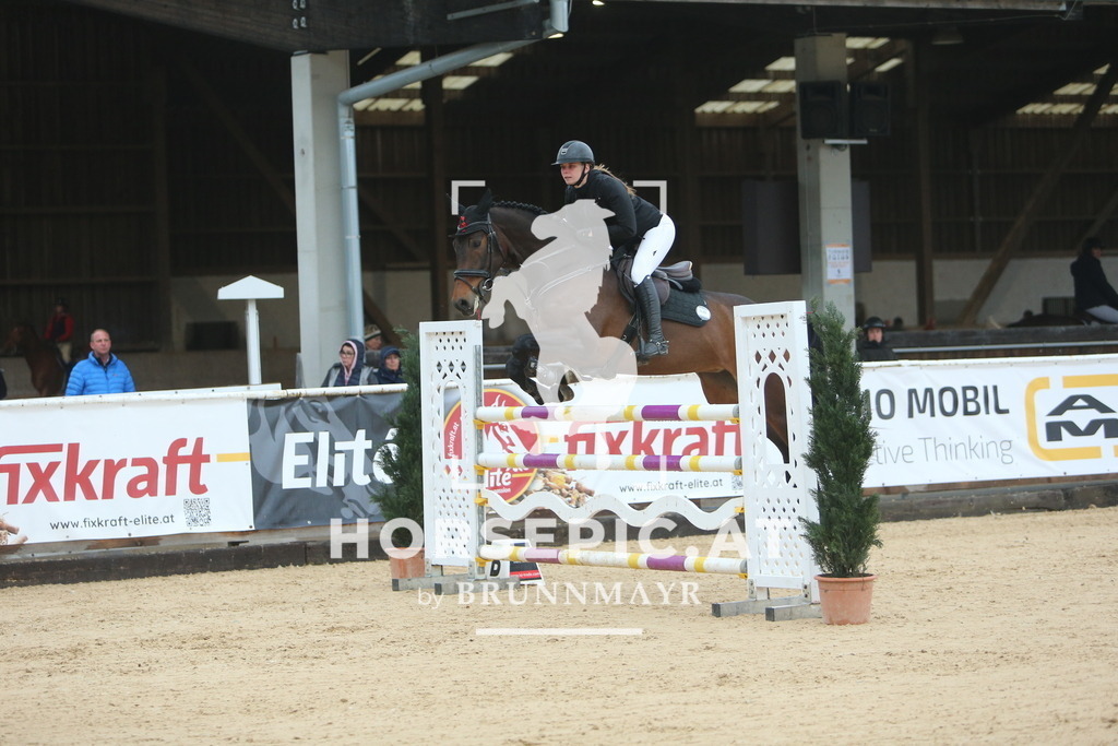 DL2Q7723 | Willkommen bei Brunnmayr - Design & Fotografie – Ihrem Spezialisten für Reitturniere und Pferdeveranstaltungen in Oberösterreich, Salzburg und Bayern! Seit über 17 Jahren sind wir leidenschaftlich dabei.