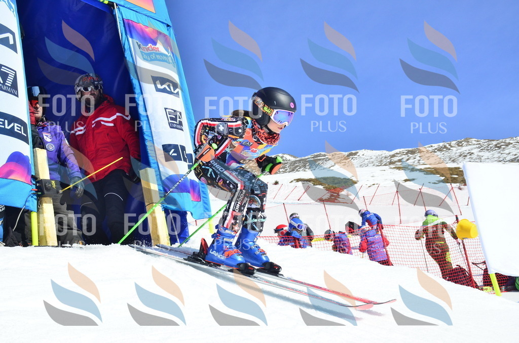 _ELE0265 | holidayphoto