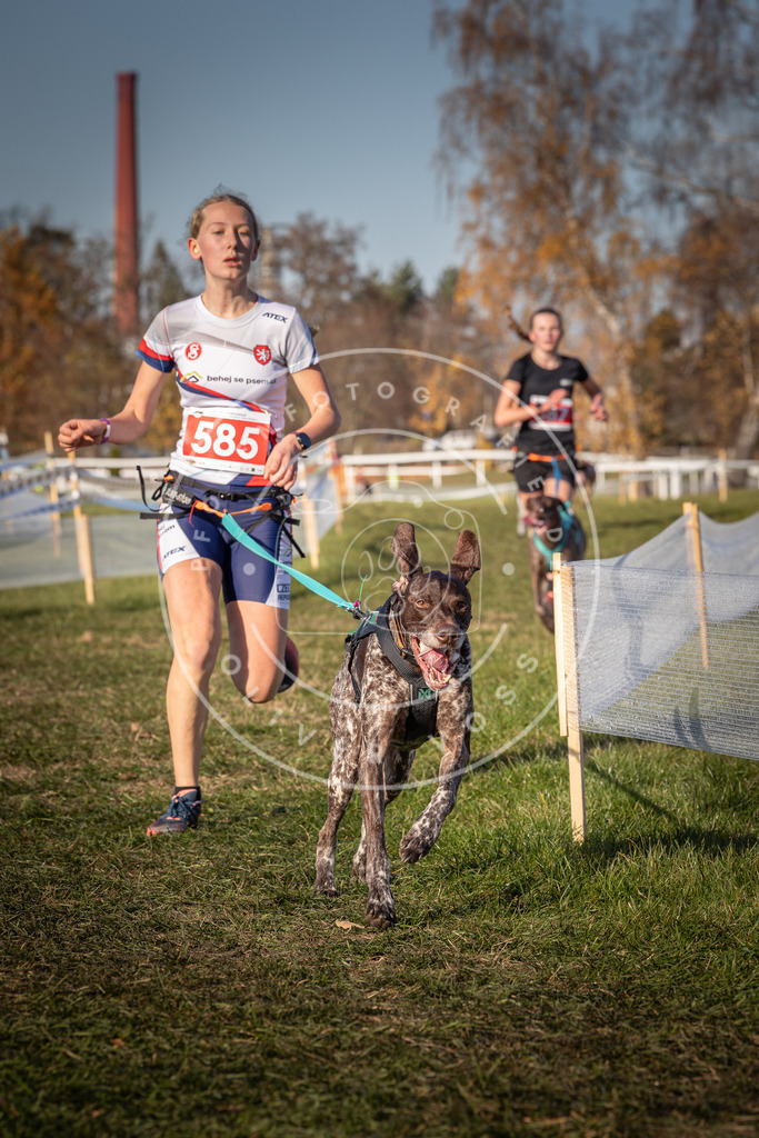 CaniXpix_0L8A8246 | Hundefotografie, Tierfotograf, Pfotenfotografie, Fotoshooting Hund, Hunde Portrait, Hundesport, Hundeportraits, Heideshooting, Hunde, Sportfotograf, Hundefotograf, Turnierhundsport, THS,  - Realisiert mit Pictrs.com