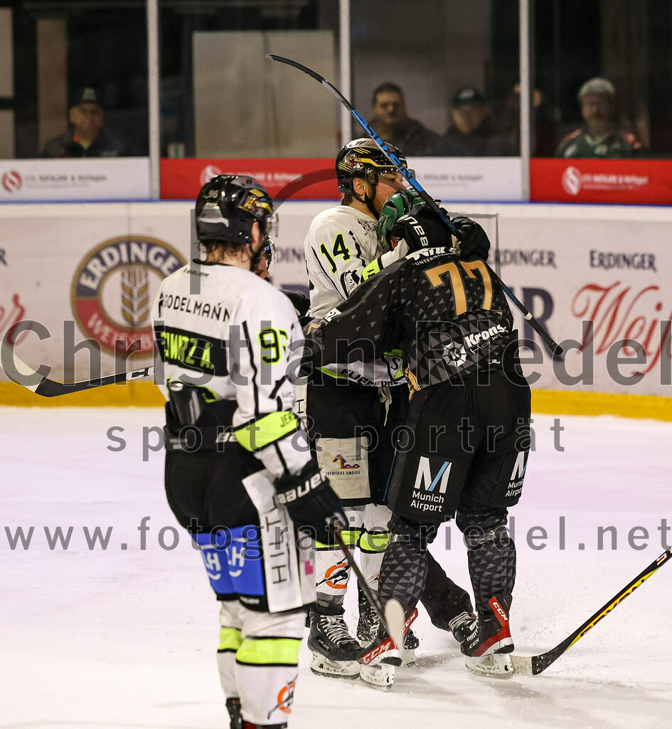 2024-02-16_099_TSV_Erding_gegen_ERSC_Amberg | Erding, Deutschland, 16.02.2024:
Eishockey, Bayernliga Playoffs 2023 / 2024, 1. Spieltag, TSV Erding gegen ERSC Amberg, Endergebnis: 1:2

Felix Schwarz (ERSC Amberg, #14), Philipp Michl (Erding Gladiators, #77)

Foto: Christian Riedel / fotografie-riedel.net
