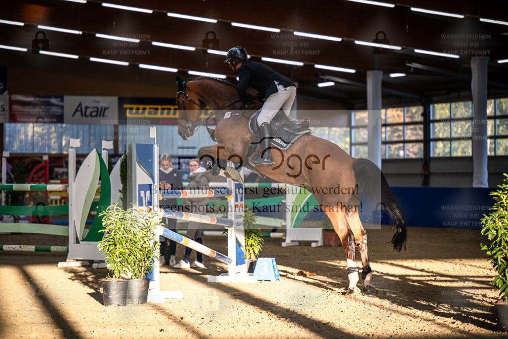 DOS_3594 | Entdecke hochwertige Reitturnierfotos von Foto Oger. Professionell, emotional und authentisch – jetzt Lieblingsmomente im Shop bestellen. - Realisiert mit Pictrs.com