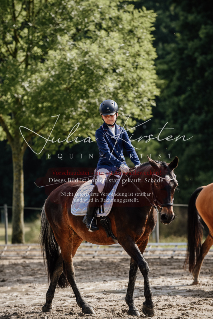 DSC_9197 | Pferde- und Turnierfotografie in Westsachsen. Pferdeportraits, Auftragszeichnungen und intuitive Kunst.