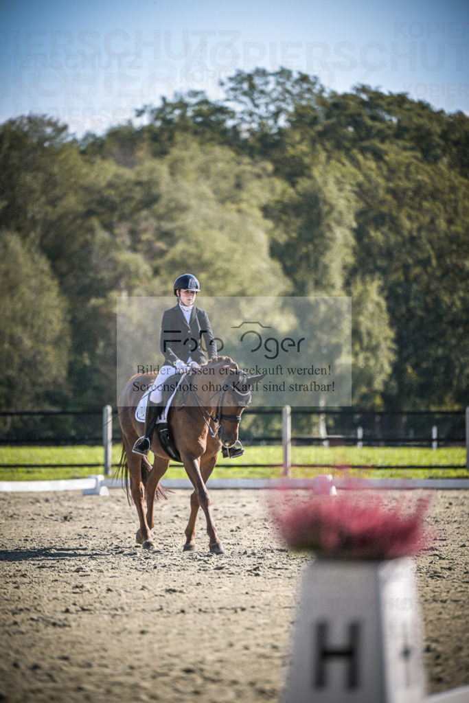 DOS_2981 | Entdecke hochwertige Reitturnierfotos von Foto Oger. Professionell, emotional und authentisch – jetzt Lieblingsmomente im Shop bestellen.Deutschlandweite Turnierfotografie. - Realisiert mit Pictrs.com