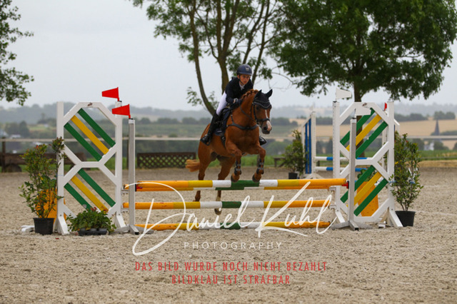 DKP47304 | Turniersportfotografie; Pferdefotografie; Dressurfotografie