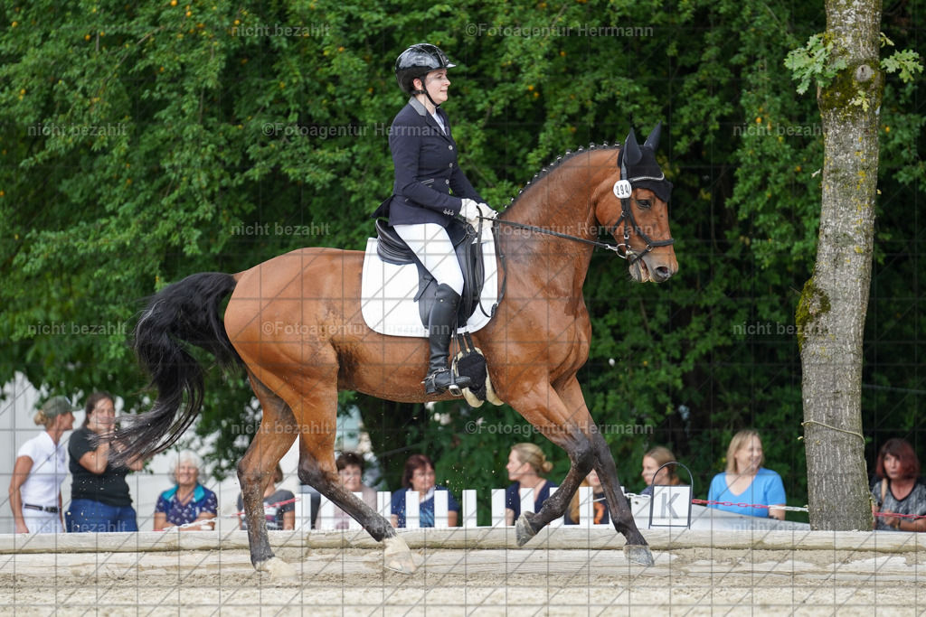 20230826-FAH05161 | Forstinning, 2023, Dressurturnier, Turniersportbilder, Turnierfotografen Bayern, Fotoagentur Herrmann, Reitsportfotografie, Turnierbilder