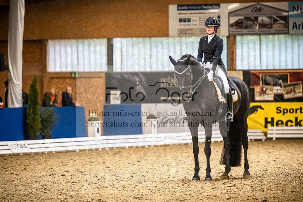 DOS_2530 | Entdecke hochwertige Reitturnierfotos von Foto Oger. Professionell, emotional und authentisch – jetzt Lieblingsmomente im Shop bestellen.Deutschlandweite Turnierfotografie. - Realisiert mit Pictrs.com
