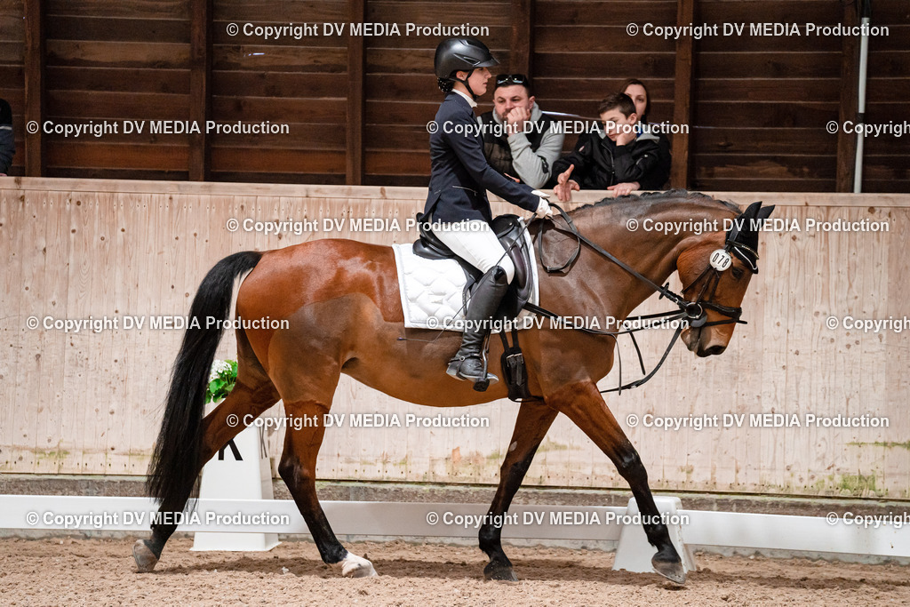 Dressur Tag 2-499 | dv-media-shop - Realisiert mit Pictrs.com