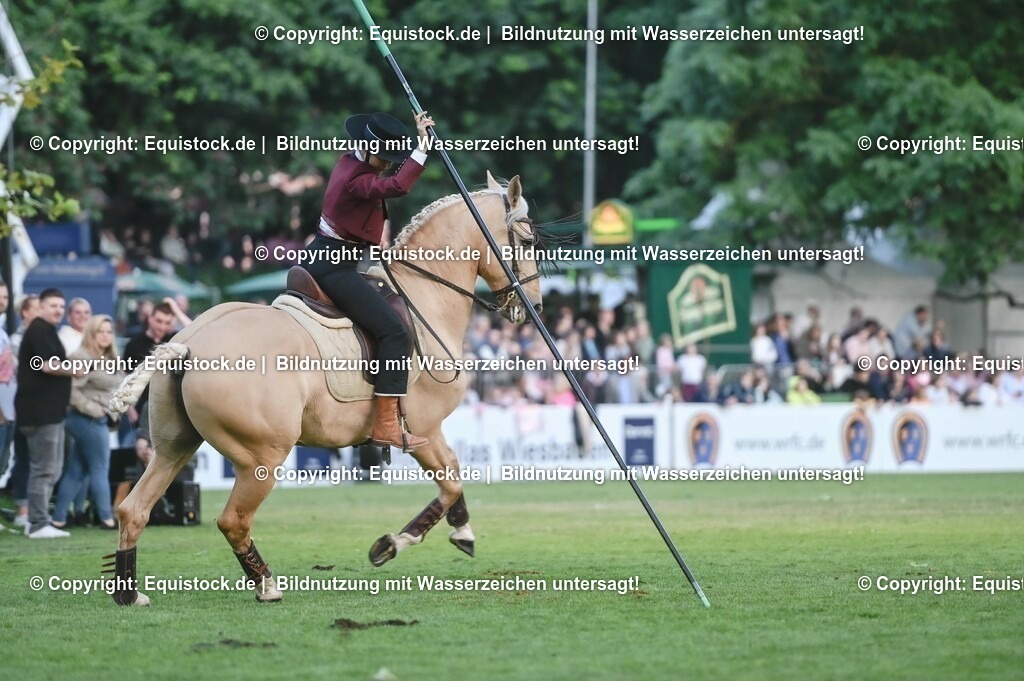 20230526_Pferdenacht_0690 | equistock