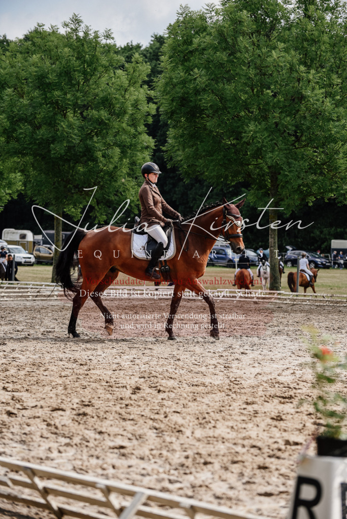 DSC_9548 | Pferde- und Turnierfotografie in Westsachsen. Pferdeportraits, Auftragszeichnungen und intuitive Kunst.