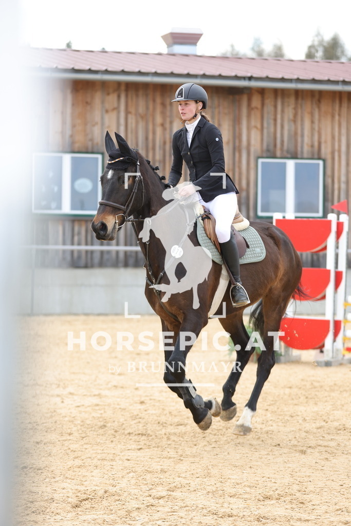 0P6A7993 | Willkommen bei Brunnmayr - Design & Fotografie – Ihrem Spezialisten für Reitturniere und Pferdeveranstaltungen in Oberösterreich, Salzburg und Bayern! Seit über 17 Jahren sind wir leidenschaftlich dabei.