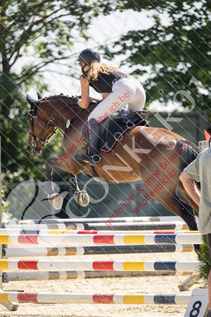 IMG_3428 | Sport-, Event- und Tierfotos in Profiqualität. Einfach auswählen, bestellen und herunterladen. Dein Moment – perfekt festgehalten.