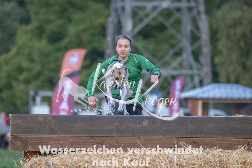 0804_ZZ94142 | kk-dogfotos